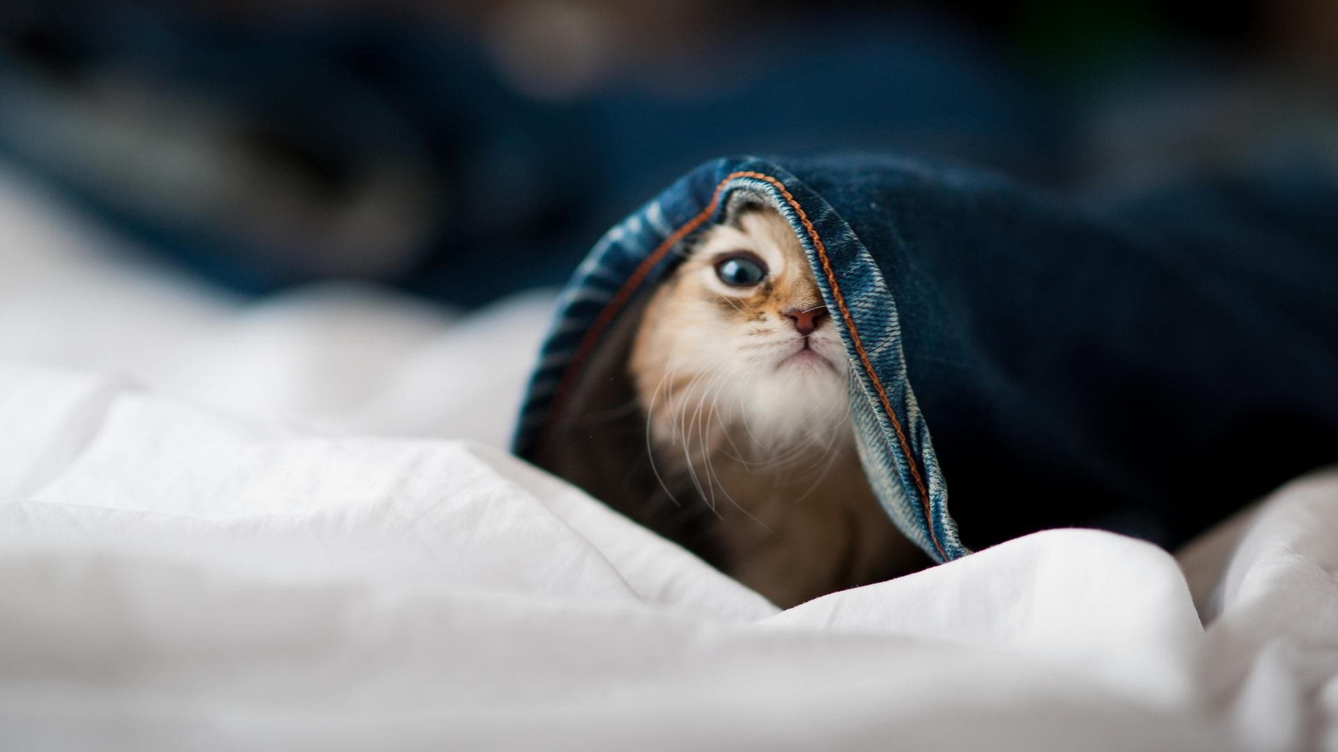 开云在线-【限时投球新政】投手在10秒内出手，策略如何调整？，投球时的规则