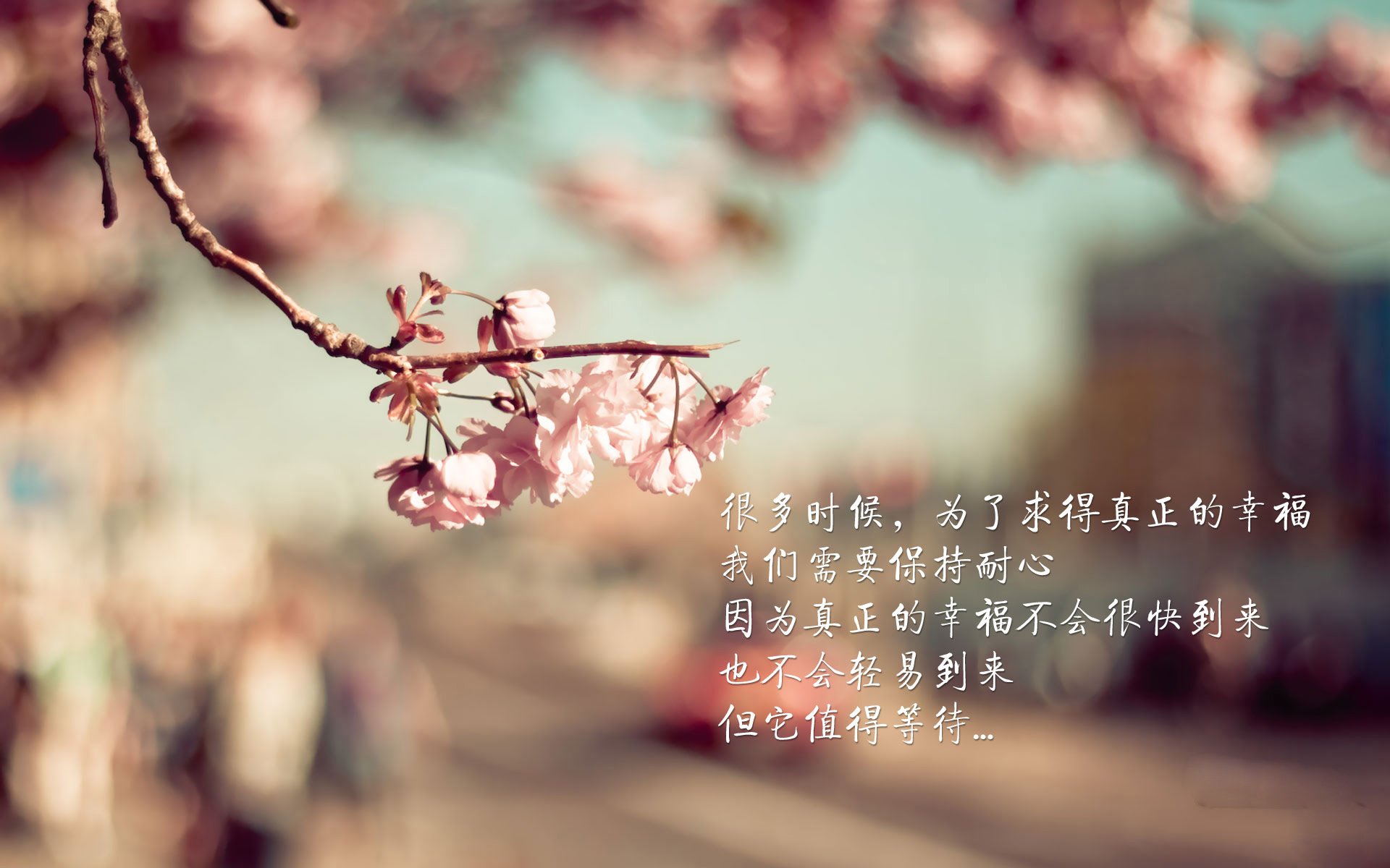 印度队未来规划:多层次发展,全面提升竞技水平,印度未来潜力